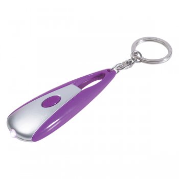 Astro LED Light Keychains - Silver/ Purple